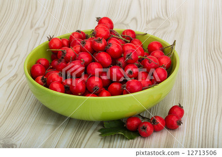 Hawthorn 12713506