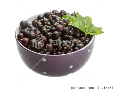 Black currant Black currant 12713561