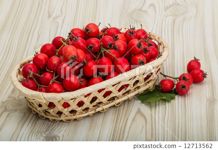Hawthorn Hawthorn 12713562