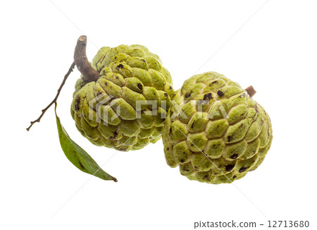 Noni fruit 12713680