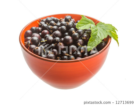 Black currant Black currant 12713699