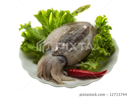 Raw cuttlefish 12713744