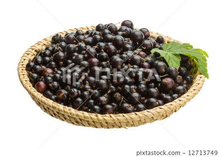 Black currant Black currant 12713749