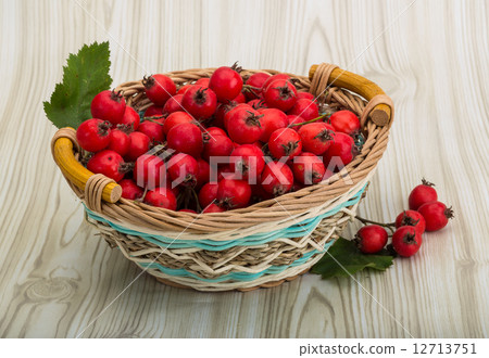 Hawthorn 12713751