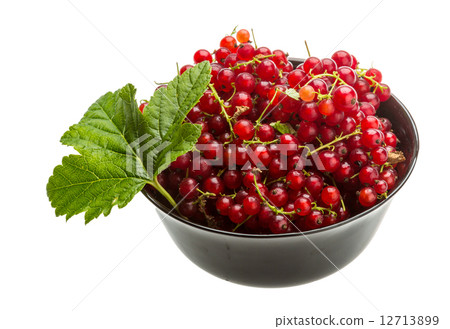 Red currant 12713899