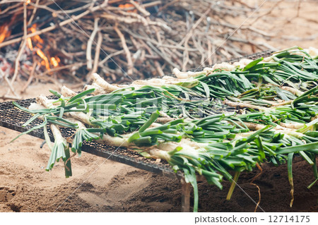 grilling onion on open fire during Cal**otada 12714175