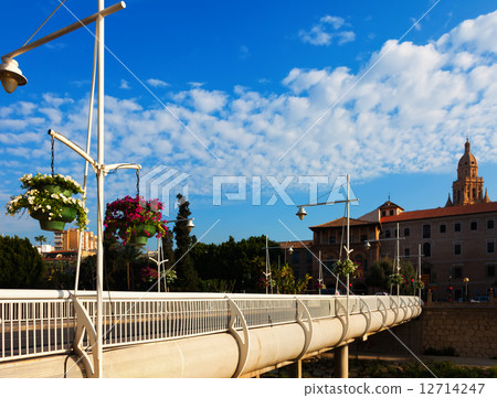Puente Miguel Caballero  with Cathedral in background. Murcia 12714247