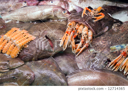 图库照片: raw goosefish and other seafood
