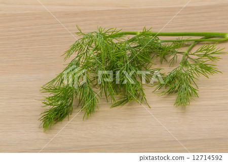 Dill 12714592