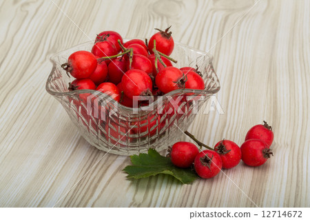Hawthorn Hawthorn 12714672