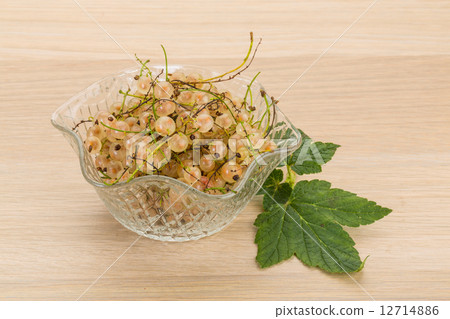 White currant 12714886