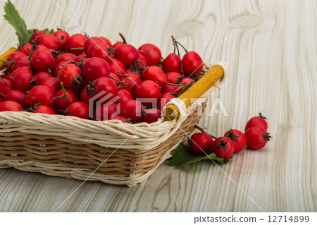 Hawthorn Hawthorn 12714899