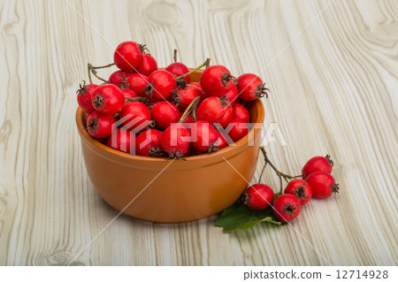 Hawthorn Hawthorn 12714928