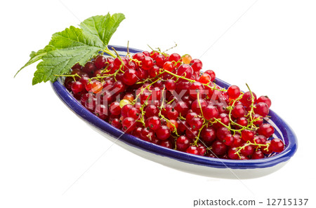 Red currant 12715137