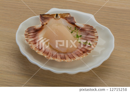 Raw scallops 12715258
