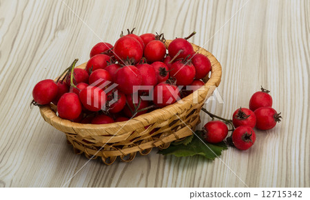 Hawthorn Hawthorn 12715342