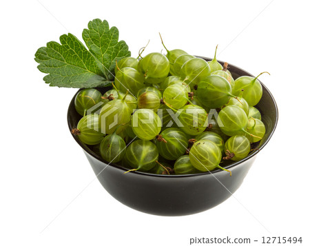Gooseberry Gooseberry 12715494