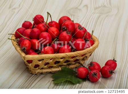 Hawthorn Hawthorn 12715495