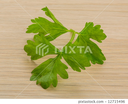 Celery leaves Celery leaves 12715496