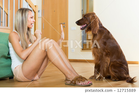 Adult girl with red Irish setter Adult girl with red Irish setter 12715889