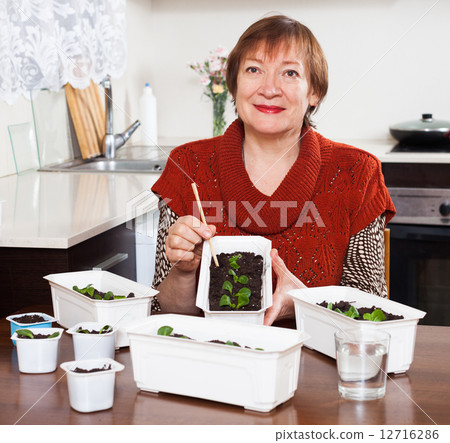 Mature woman working with seedlings 12716286