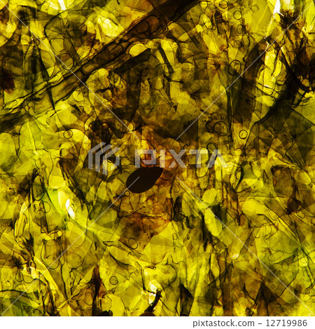 nori background nori background 12719986