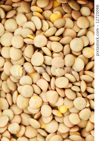 dried lentils 12720066