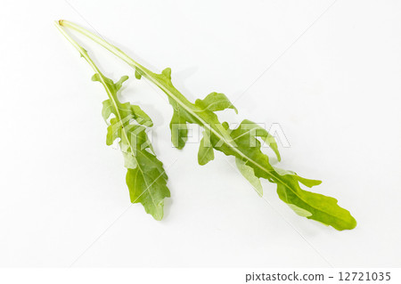 arugula on the white 12721035