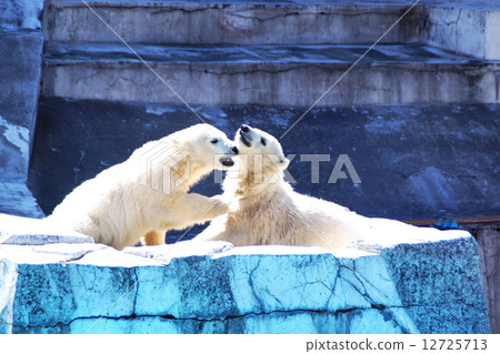 Popular items at Maruyama zoo 12725713