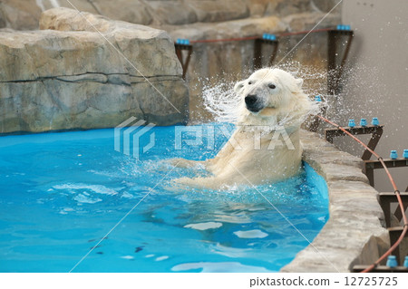 Popular items at Maruyama zoo 12725725