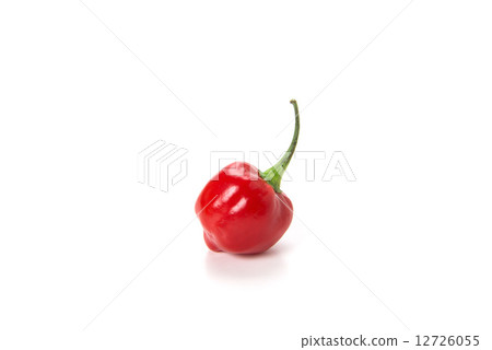 habañero pepper 12726055