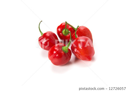 habañero pepper 12726057