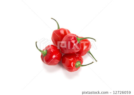 Habanero, a spicy seasoning 12726059