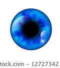 Eye. Vector illustration 12727342