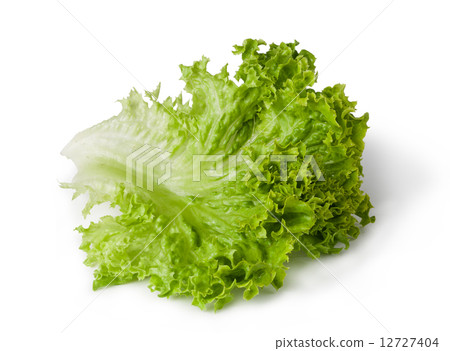 Lettuce salad Lettuce salad 12727404