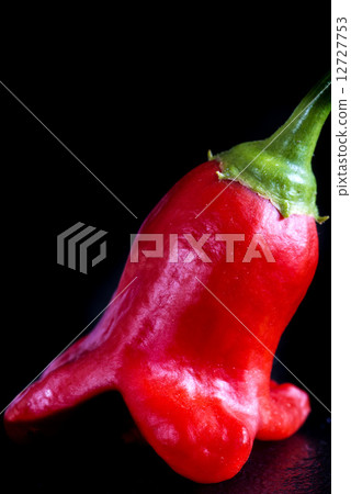 chili bishops crown 12727753