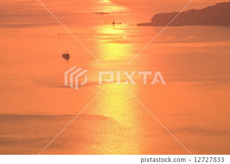 Golden sea (Kagawa) Golden sea (Kagawa) 12727833