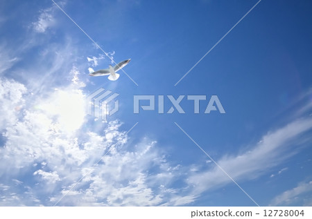 飛行 飛行 12728004