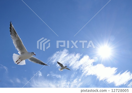 Flight Flight 12728005