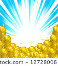 硬幣 12728006