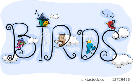 Birds 12729456