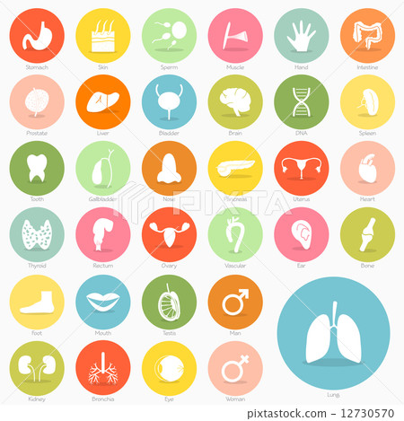 Body icon short shadow design, vector eps10 12730570
