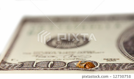 Worm gnaw through dollar bank note. Stage one Worm gnaw through dollar bank note. Stage one 12730758