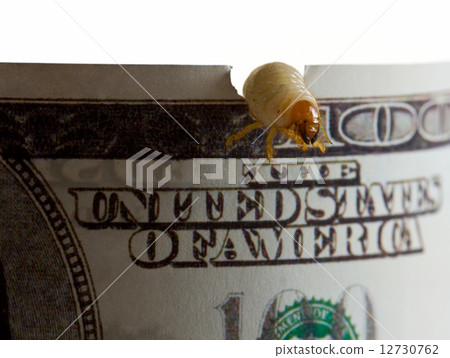 Money eaten by worm - recession concept 12730762