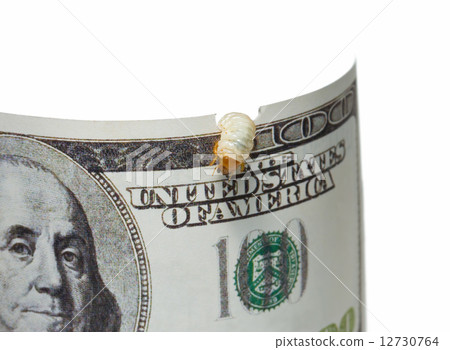 money pest - disperse funds concept money pest - disperse funds concept 12730764