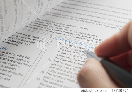 Reading residential tenancy agreement 12730775