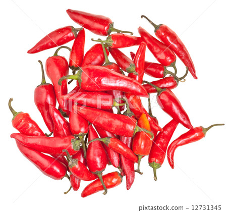 pile of pods of red chili peppers isolated 12731345