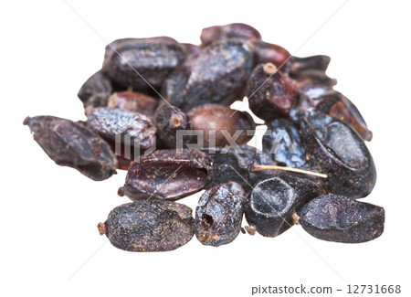 handful of dried black berberis fruits close up handful of dried black berberis fruits close up 12731668