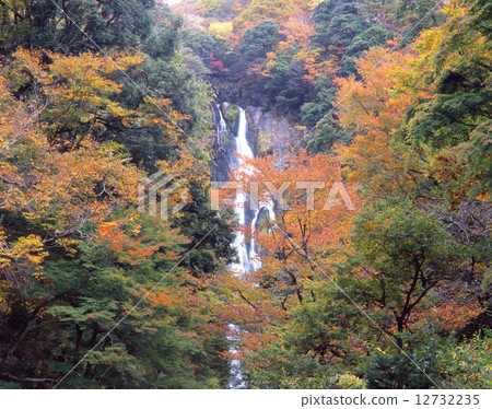 “百日瀑布”觀音瀑布（Kanna Taki）和五顏六色的秋葉/“百日風景”/“國家指定風景區”/“電影”八墳村“位置位置 12732235