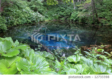 God's Pond God's Pond 12733398